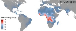 15799_Sickle_cell_anaemia_MAP